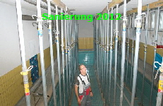 Schwimmbad Welldorf Schwimmbad Welldorf